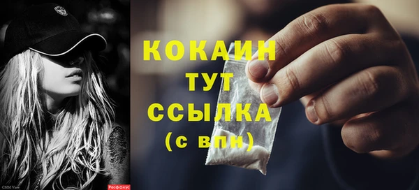 PSILOCYBIN Верея