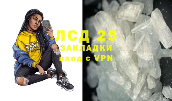 PSILOCYBIN Верея